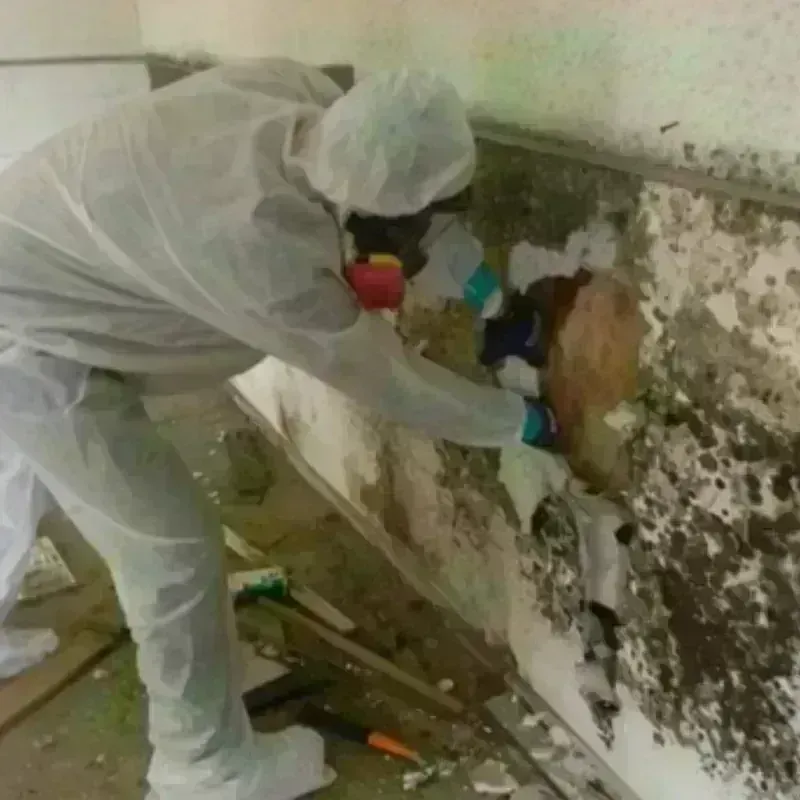 Mold Remediation and Removal in Jefferson, NH